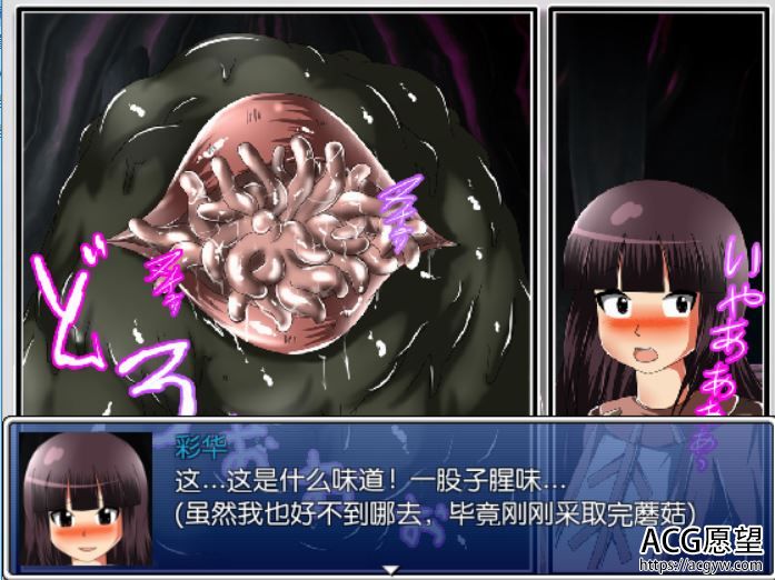 【RPG】采蘑菇的小女孩之快乐柔壶精翻汉化版