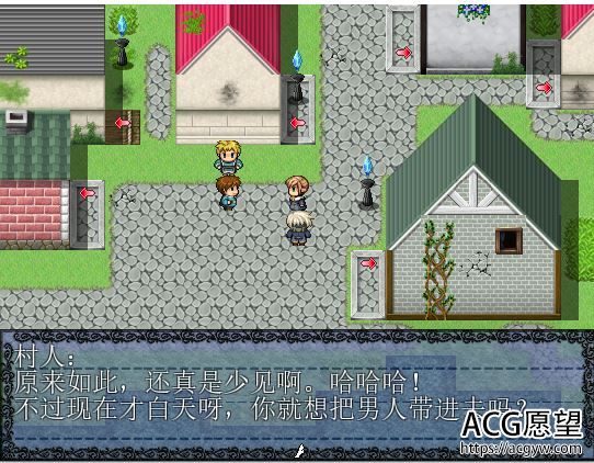 【RPG】D.P精翻汉化版+攻略