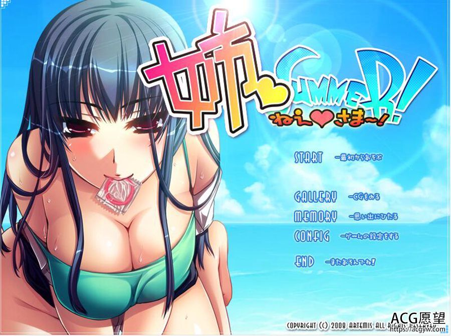 【ADV】姐姐Summer1+2两部~精翻汉化版合集