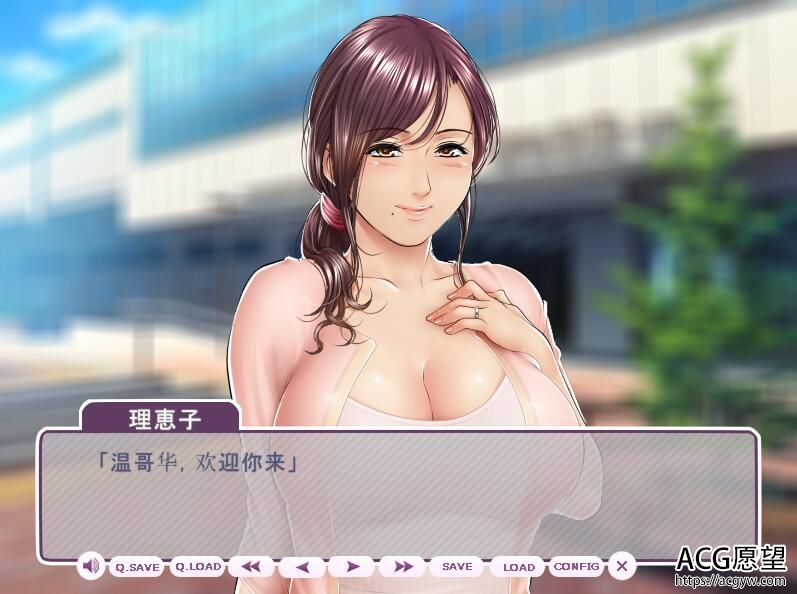 【ADV】豚肉工作室~淑女游戏6部~云翻汉化版大合集+稀有CG合集+存档【KRKR】