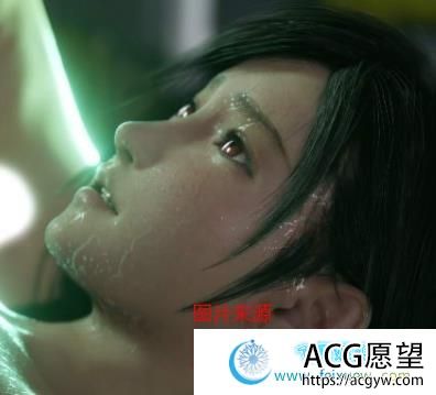 Nagoonimation：4K神级P站付费3D超逼真合集/蒂法爱丽丝/1.4G