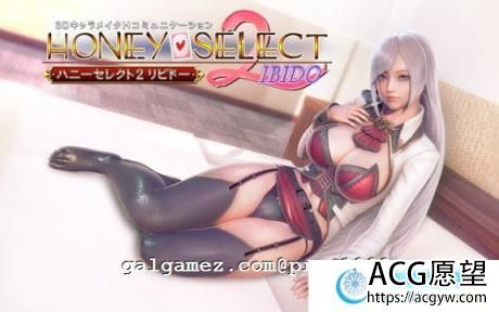 HoneySelect2-DX超大型扩展DLC 璇玑公主整合汉化版【新发售/75G】 【3D游戏】 【3D/I社/汉化】