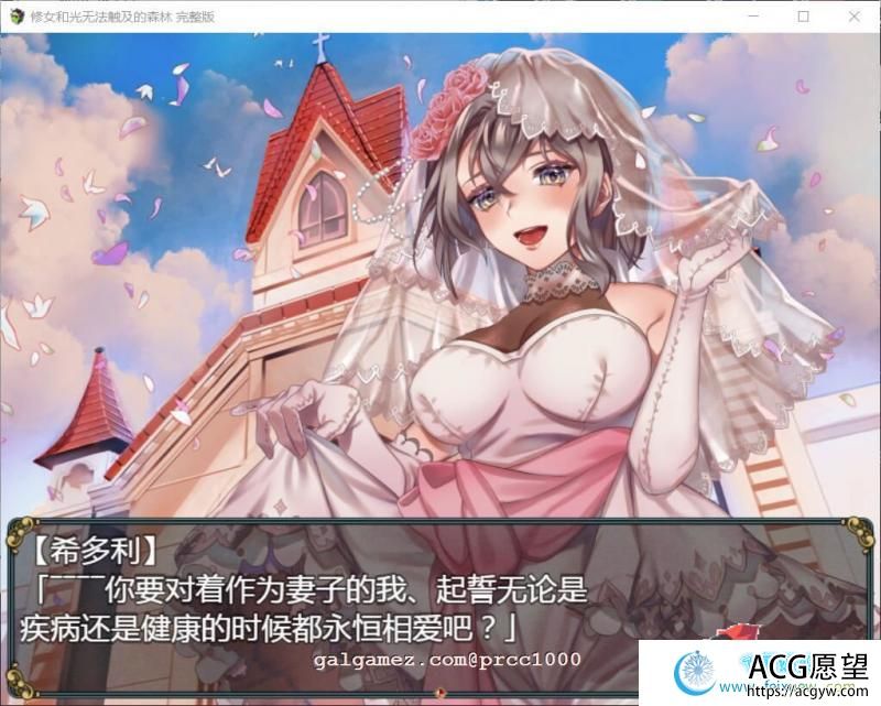 修女和光无法触及的森林+DLC完整版 巴比伦汉化【PC+安卓】【1.1G】 【RPG游戏】 【RPG/汉化/双版本】