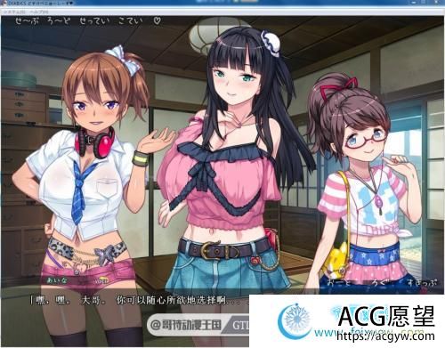 DSKBJCS-和三名小恶魔的夏日 云翻汉化版/CG包【全CV/1.5G】 【ADV游戏】 【日式ADV/拔作精品】