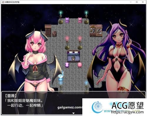 魅魔姐妹的爱梦堕之夜！精翻汉化完结版+CG【新汉化/PC+安卓/600M】 【RPG游戏】 【RPG/御光汉化】