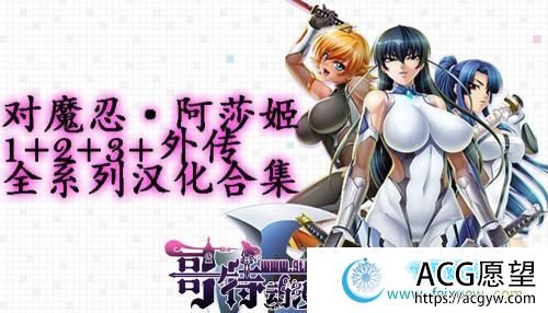 对魔忍·阿莎姬 1+2+3+外传 全系列汉化合集【5G/全CV】 【ADV游戏】 【经典神作/汉化/重口/动态CG】