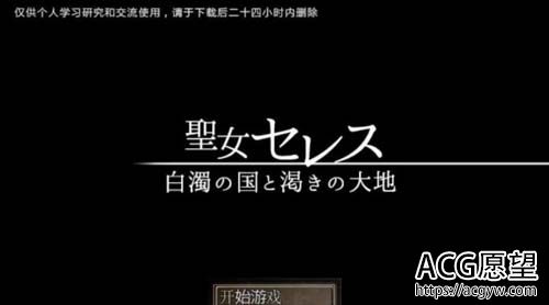 【RPG】【圣女莱赛斯:白浊之国和饥渴的大地 SSTM精翻汉化版+存档】【900M】【百度网盘下载】