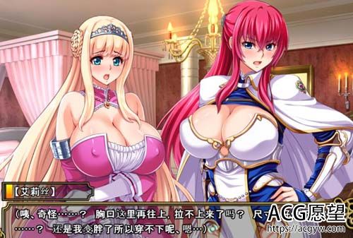 【ADV】【王女x女骑士：超绝下品露出会 官方中文补完版+CG】【PC+安卓/3G】【网盘下载】