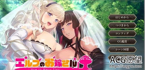 【SLG】如何与精灵结婚后宫结婚推奖正式完全版+存档+特典【1.2G】【网盘下载】