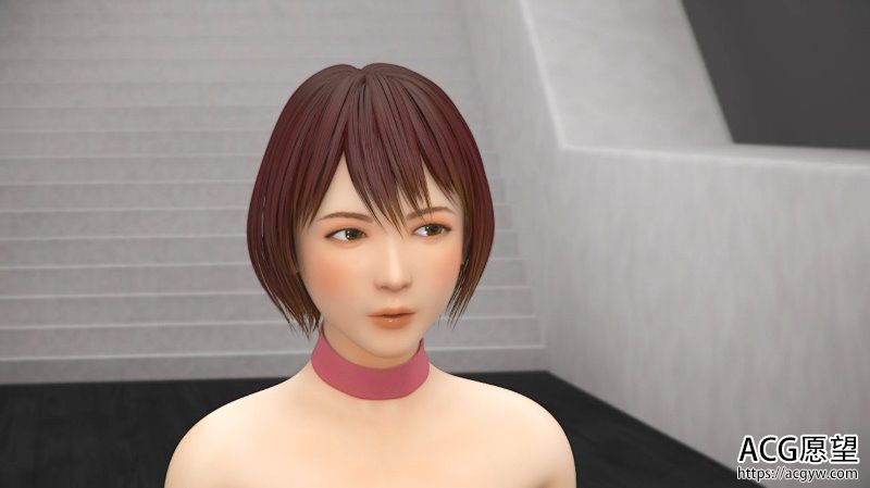 【3D同人/全动态】女同忍系列Ver1.5本篇+特典完全版