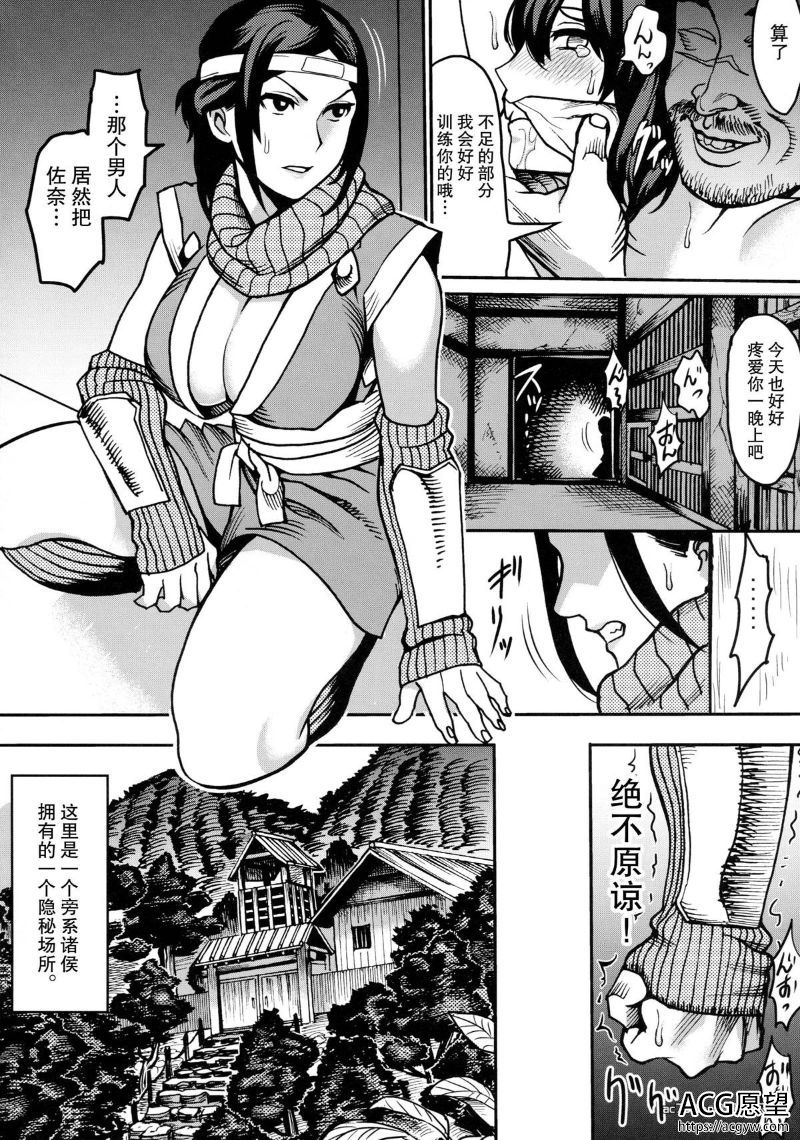 【2D同人】女忍房术法8本全汉化合集