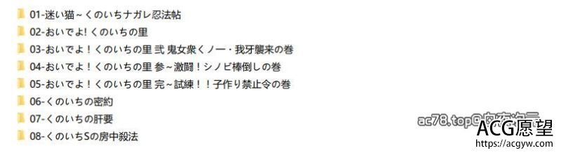 【2D同人】女忍房术法8本全汉化合集